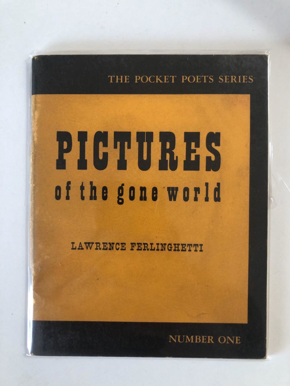 lawrence ferlinghetti pictures of the gone world